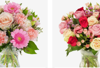 Überblick über euroflorist und das Geschäftsmodell