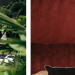Trivago: Making Hotel Search Simple and Efficient