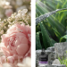 Perfumy: Świat zapachów dla kobiet i mężczyzn ceniących elegancję